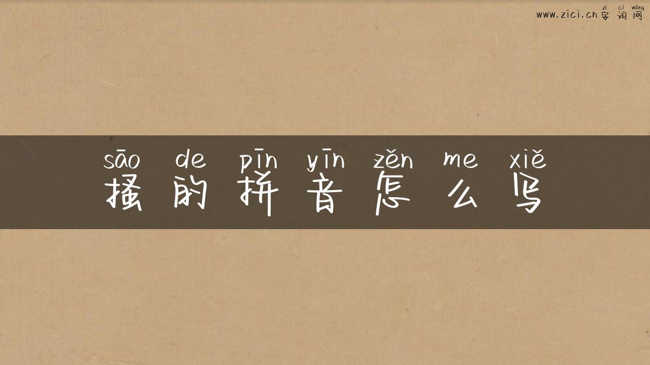 搔的拼音怎么写