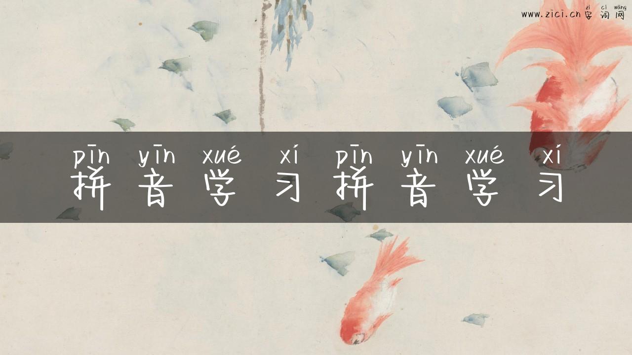 拼音学习拼音学习