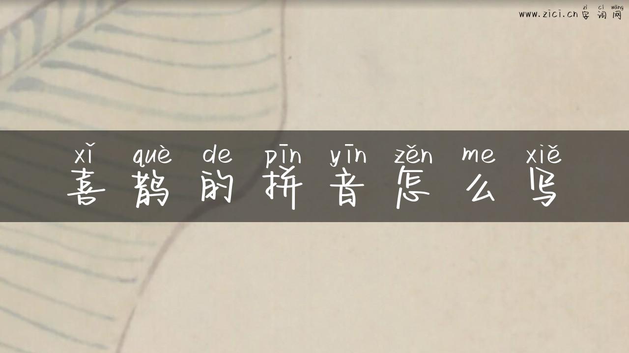 喜鹊的拼音怎么写