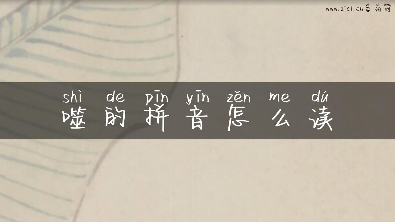 噬的拼音怎么读