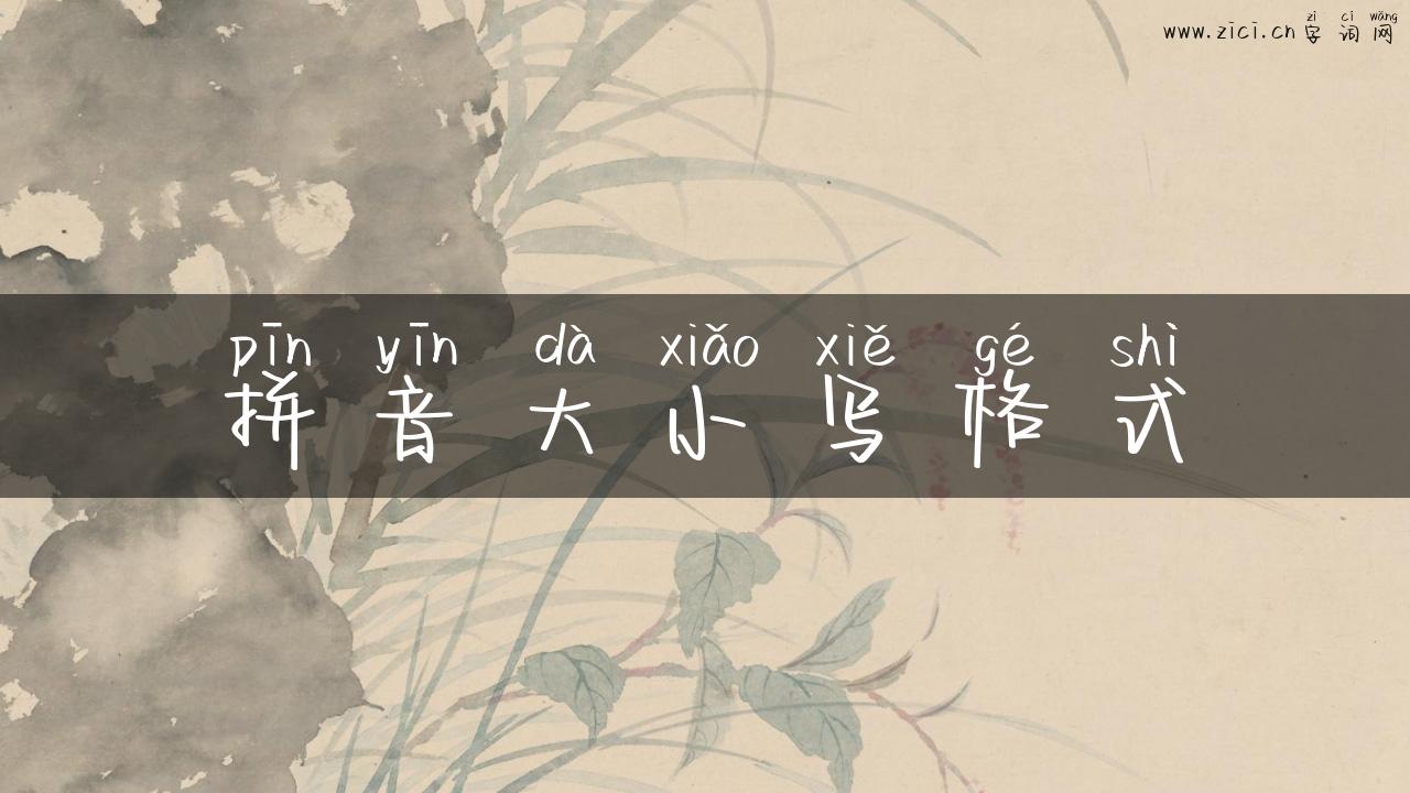 拼音大小写格式