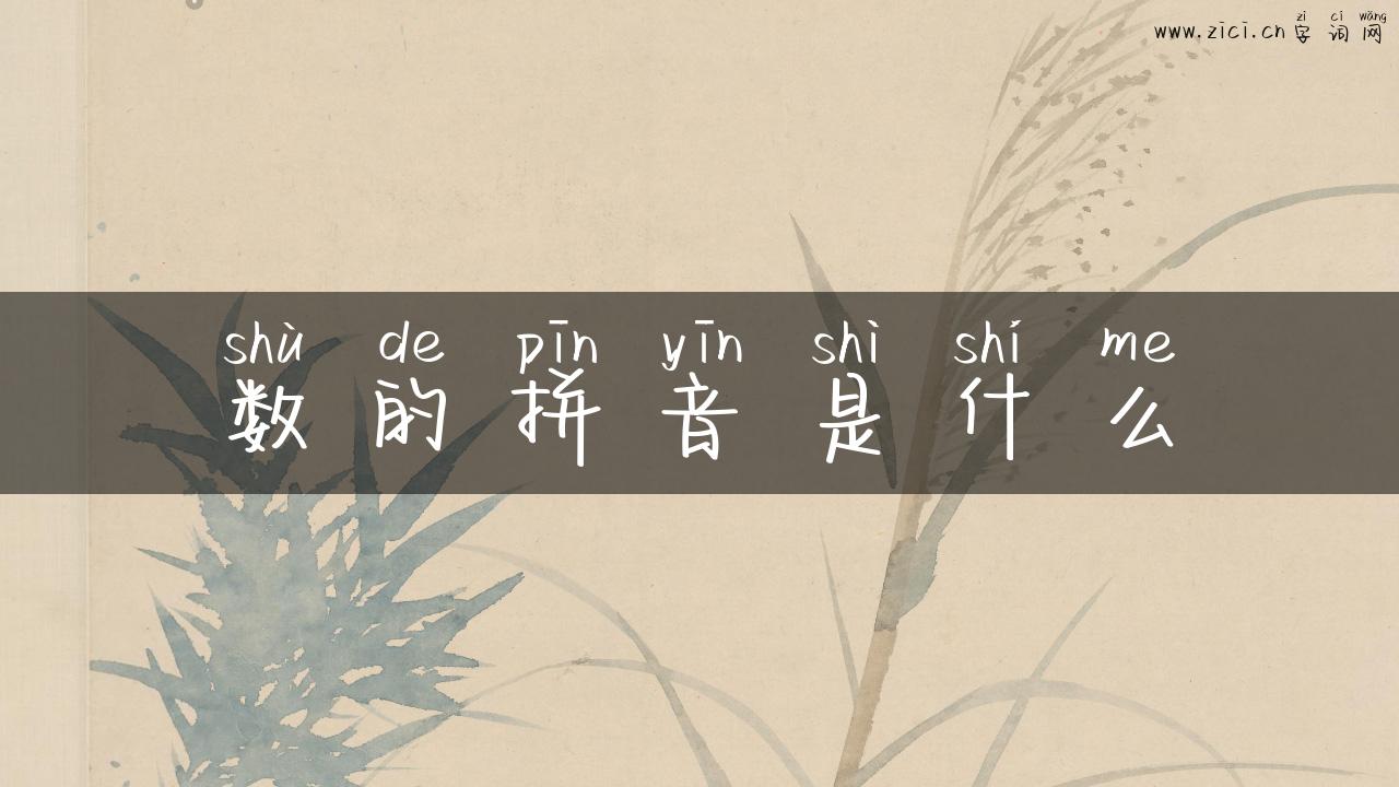 数的拼音是什么