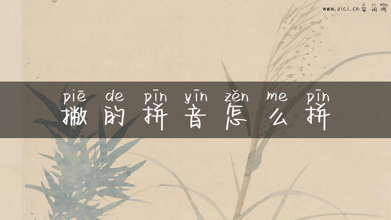 撇的拼音怎么拼