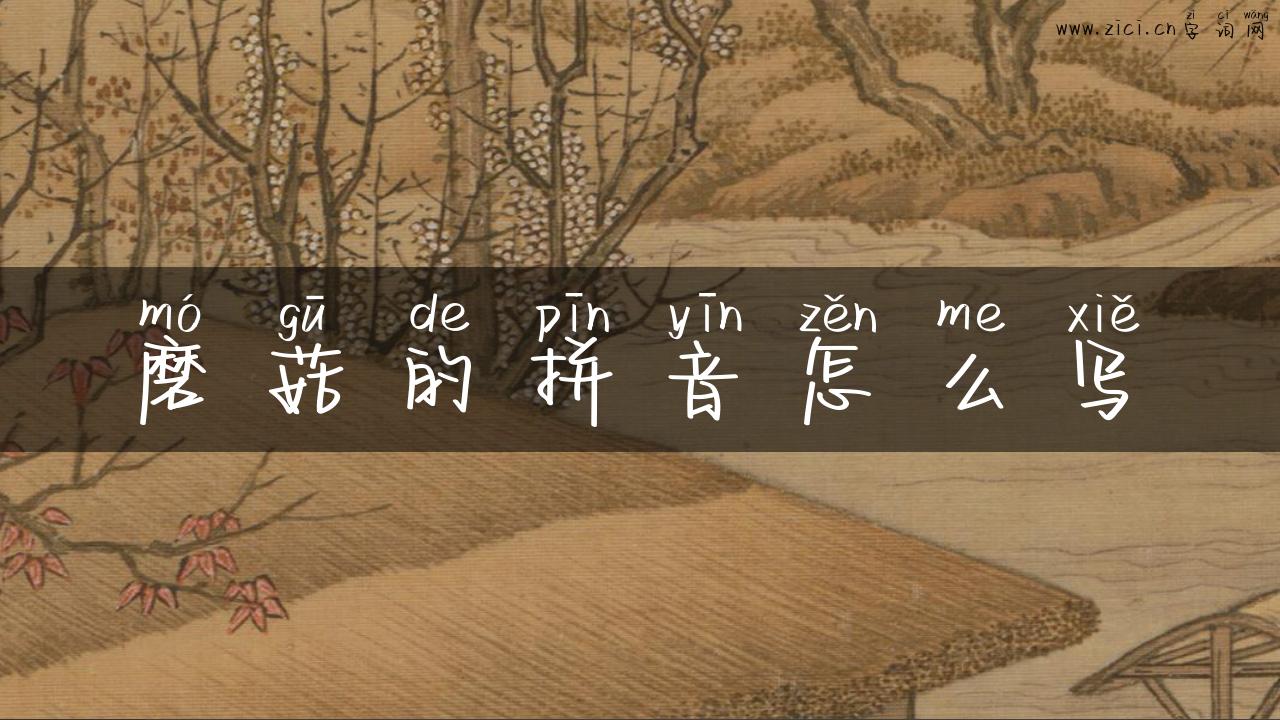 磨菇的拼音怎么写