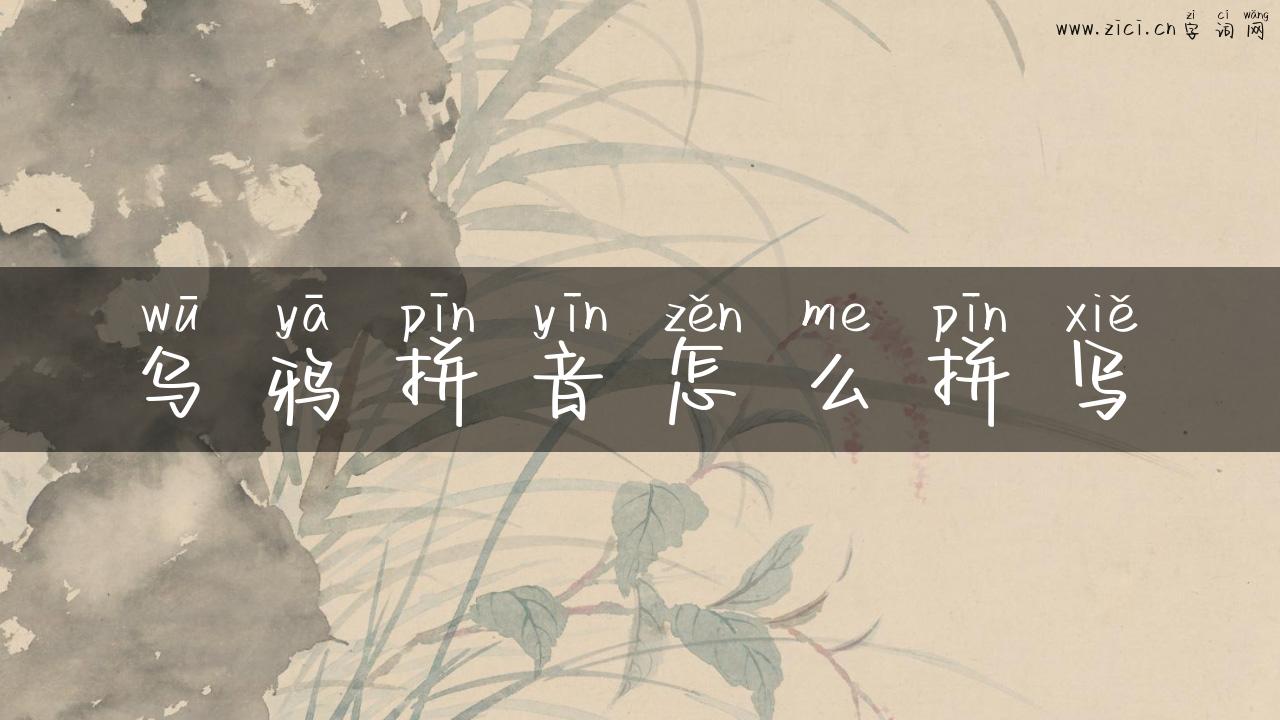 乌鸦拼音怎么拼写