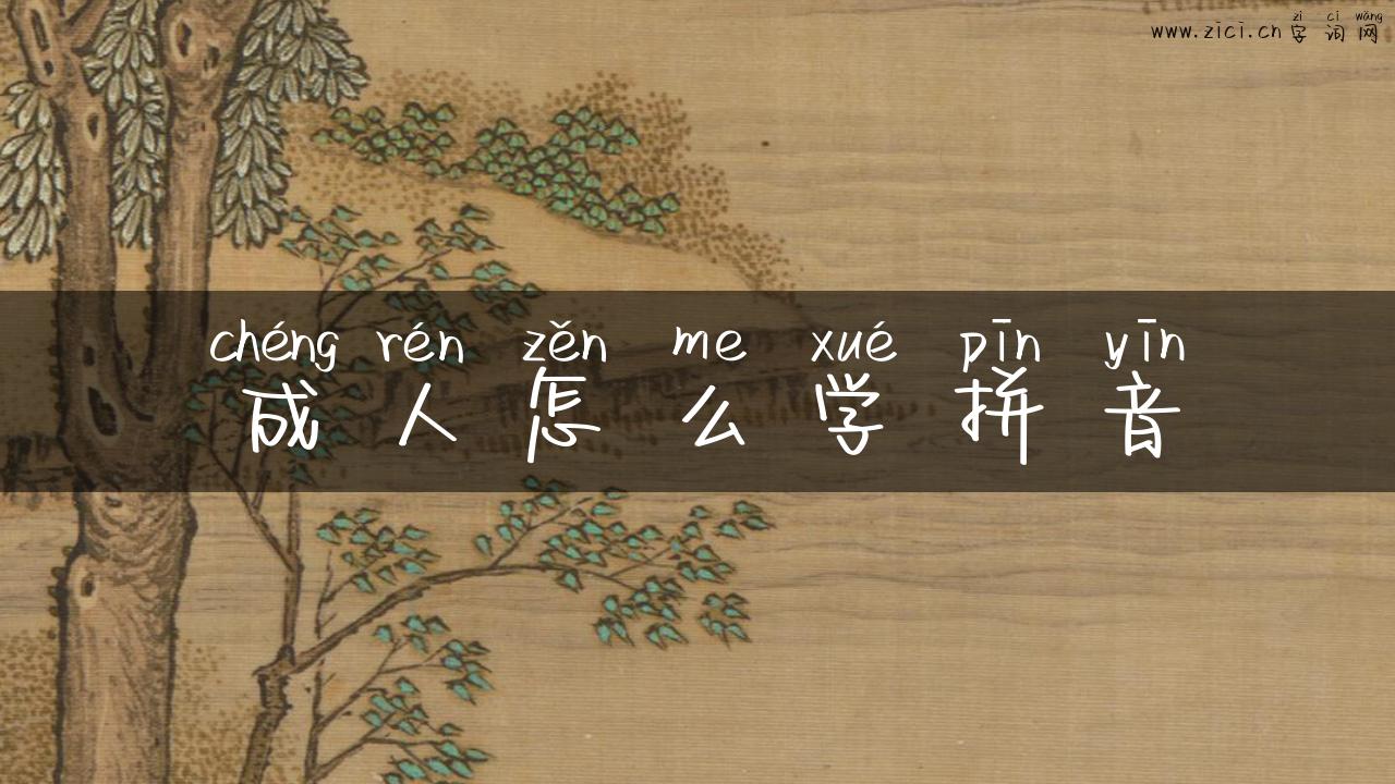 成人怎么学拼音