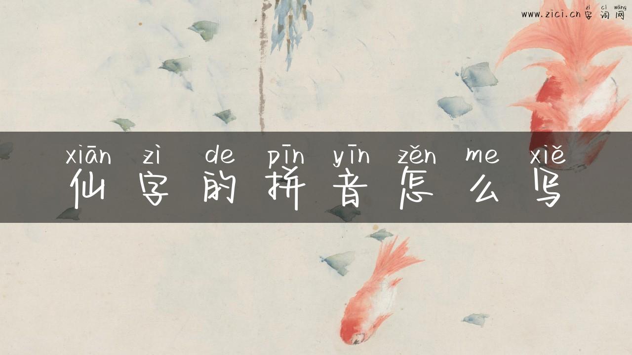 仙字的拼音怎么写
