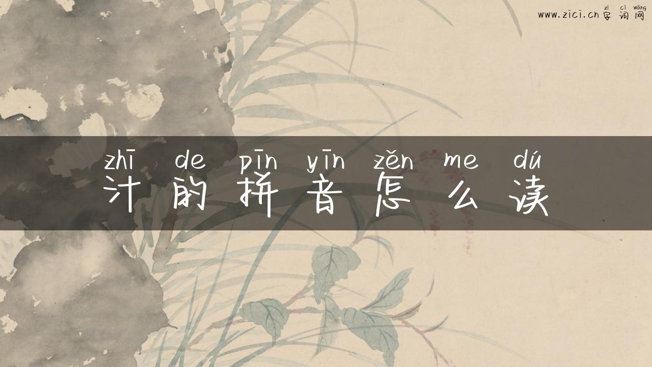 汁的拼音怎么读
