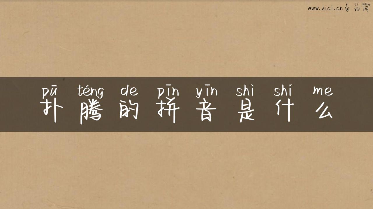扑腾的拼音是什么