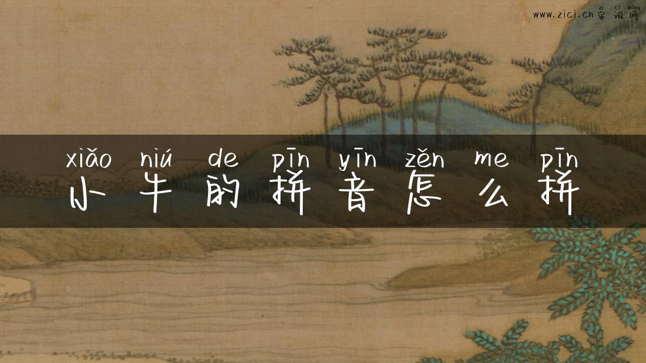 小牛的拼音怎么拼