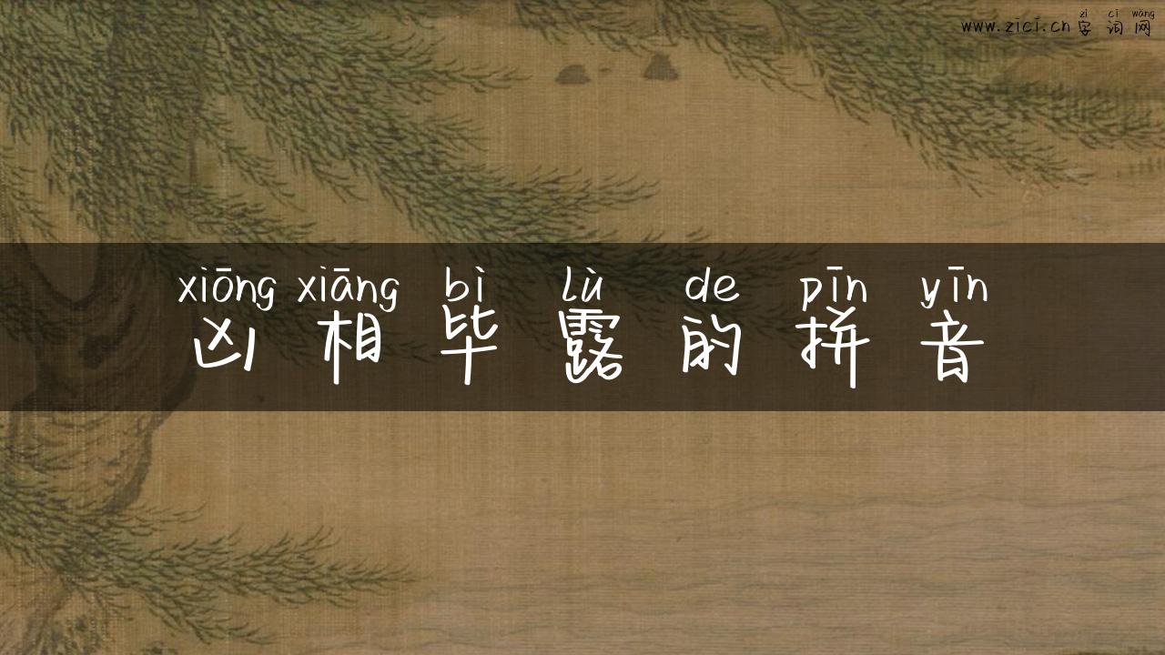 凶相毕露的拼音