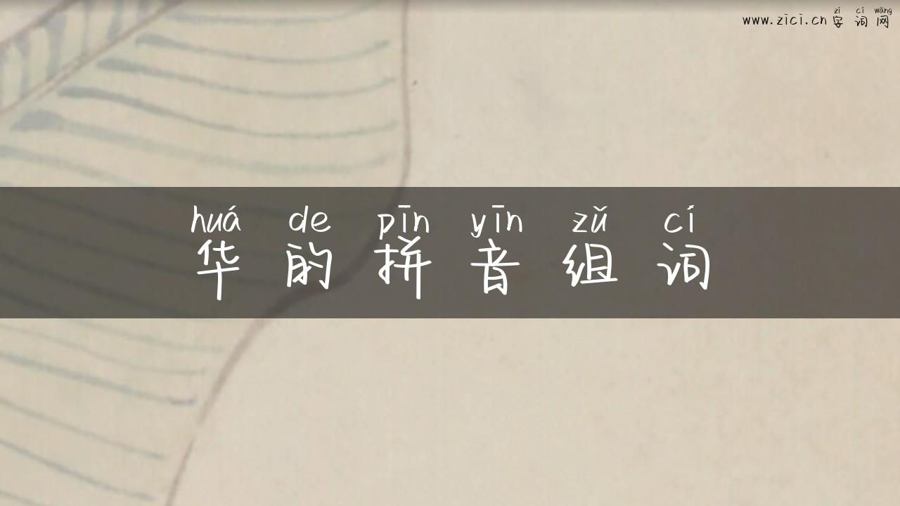 华的拼音组词
