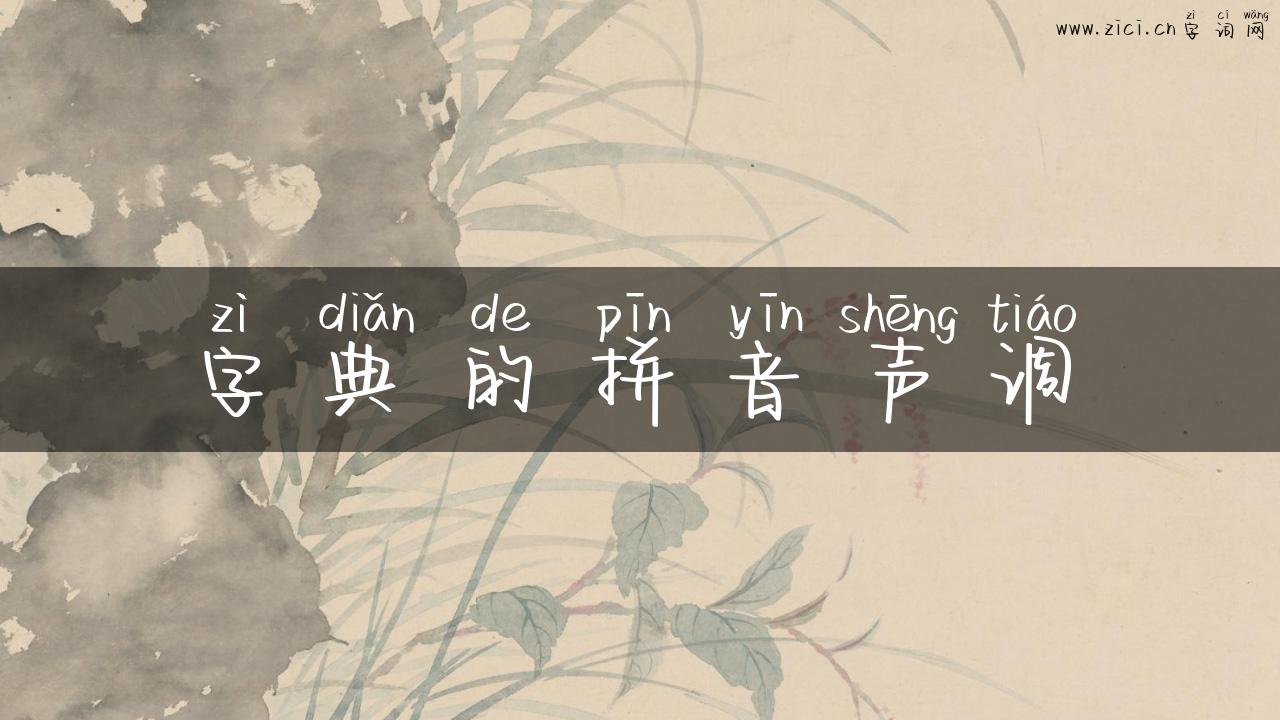 字典的拼音声调