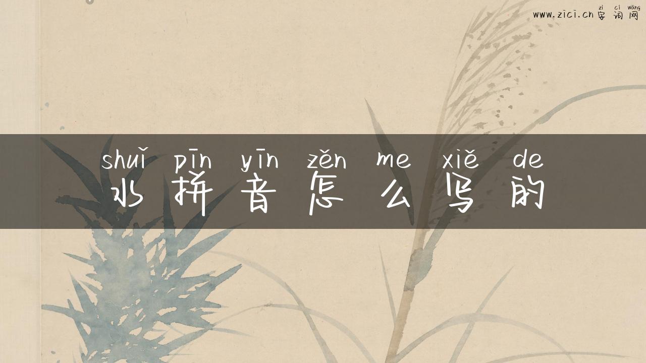 水拼音怎么写的