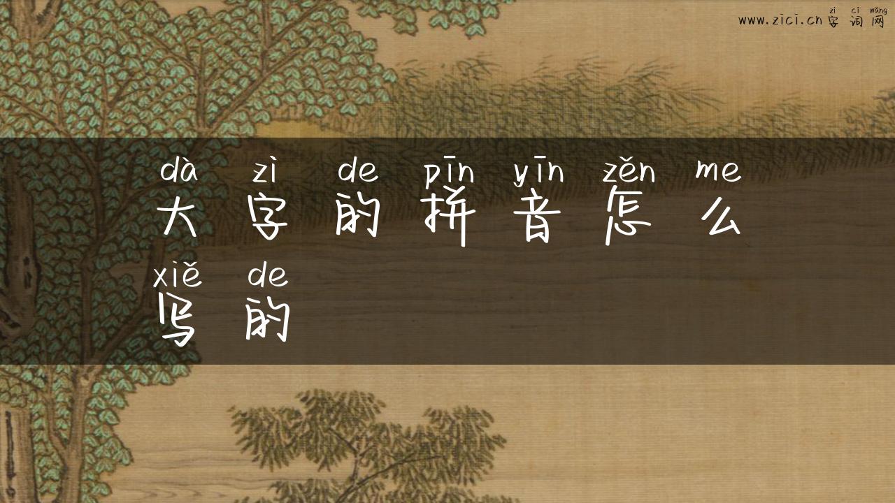 大字的拼音怎么写的