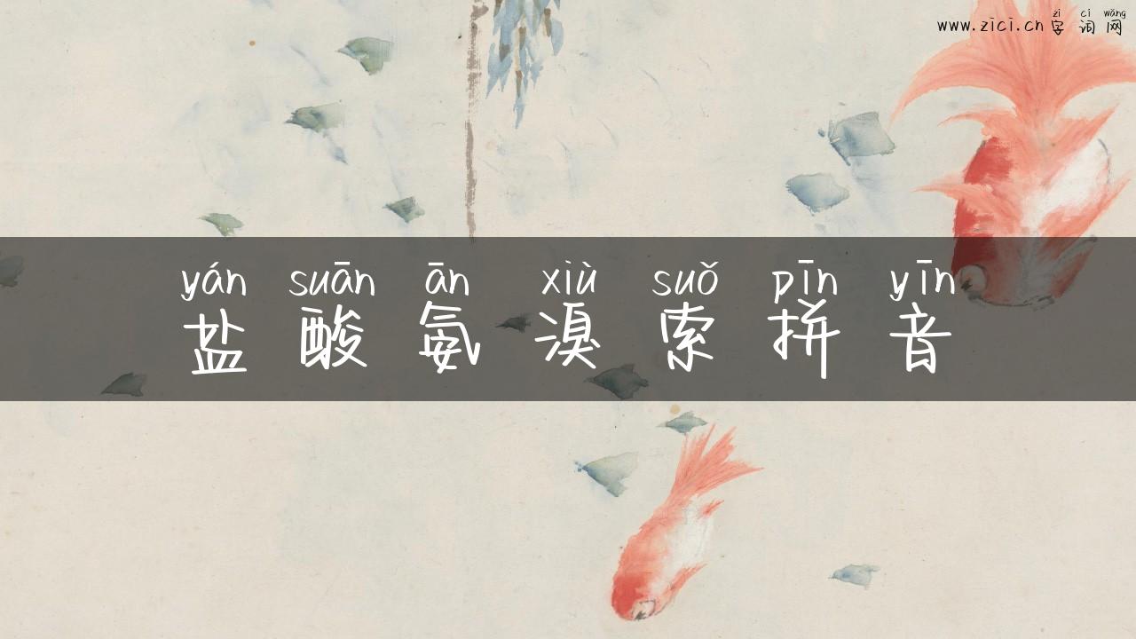 盐酸氨溴索拼音