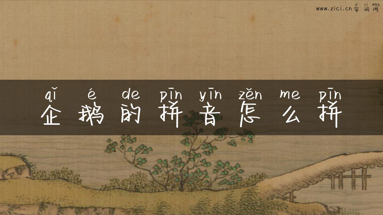 企鹅的拼音怎么拼