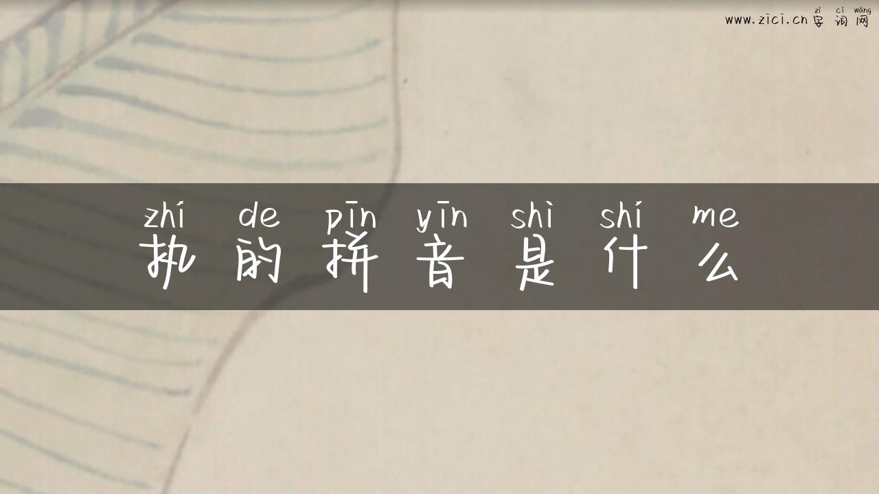 执的拼音是什么