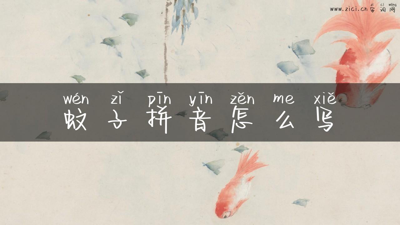 蚊子拼音怎么写