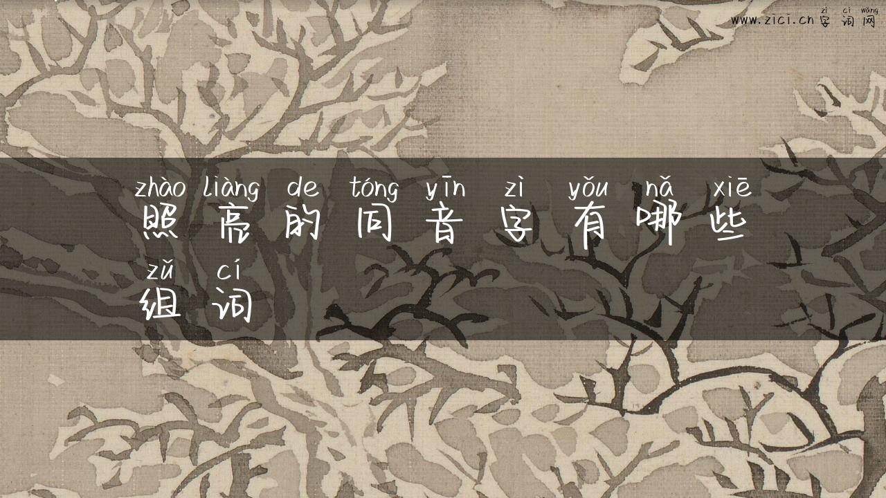 照亮的同音字有哪些组词