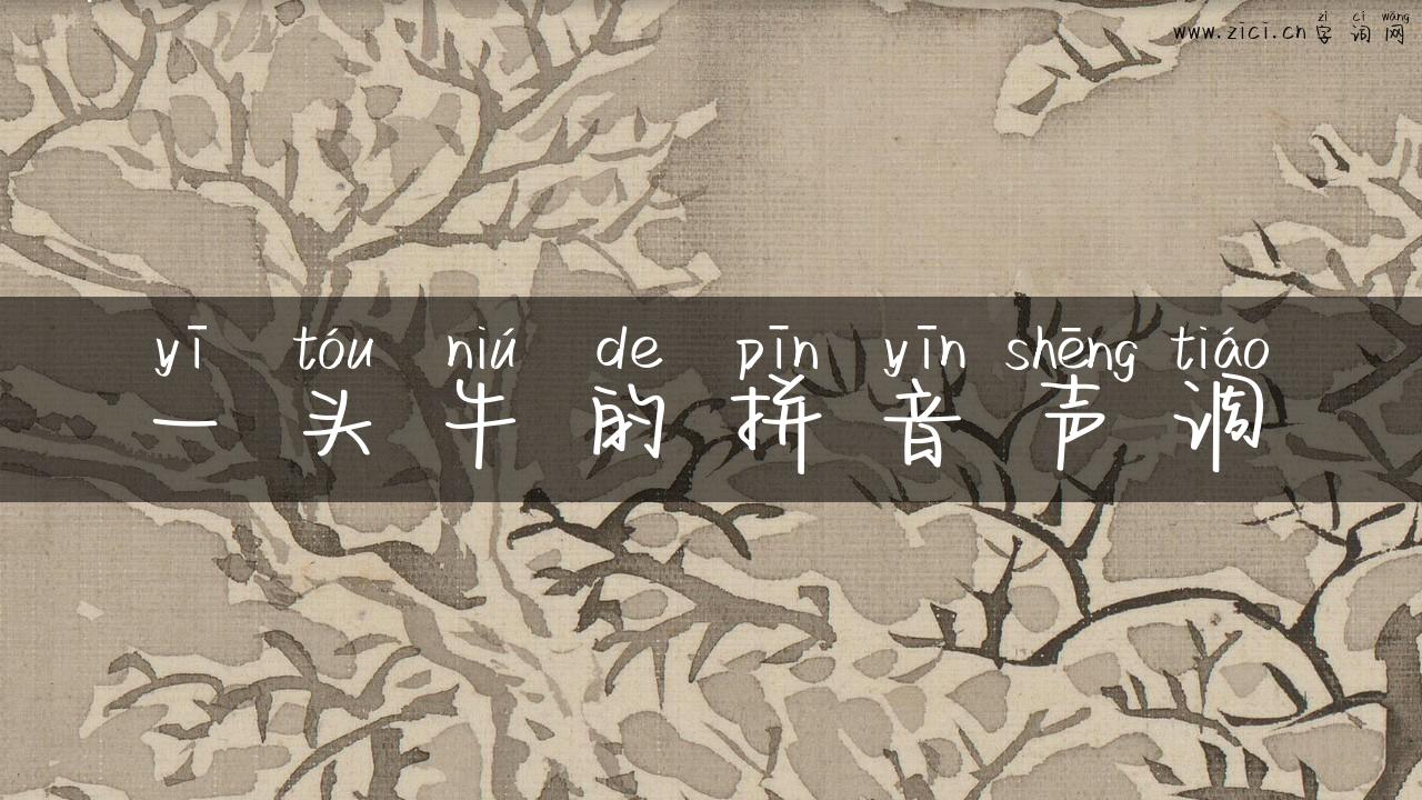 一头牛的拼音声调