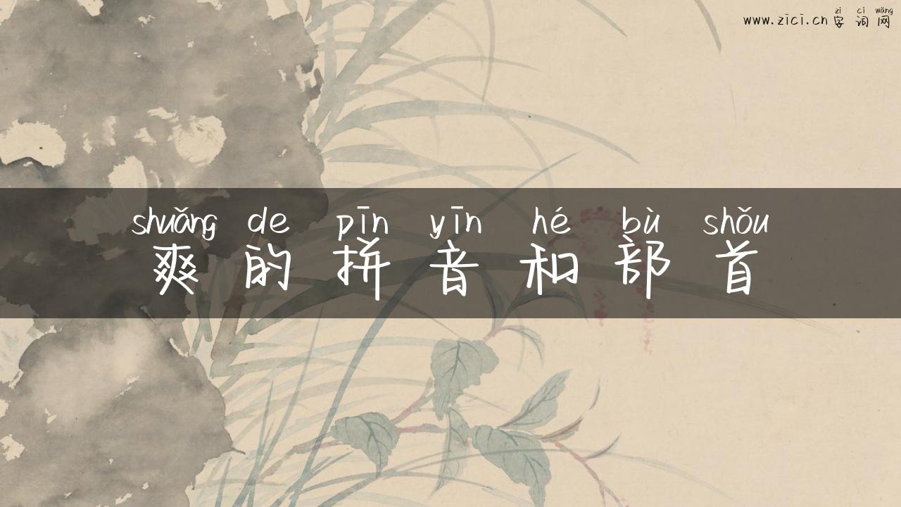 爽的拼音和部首
