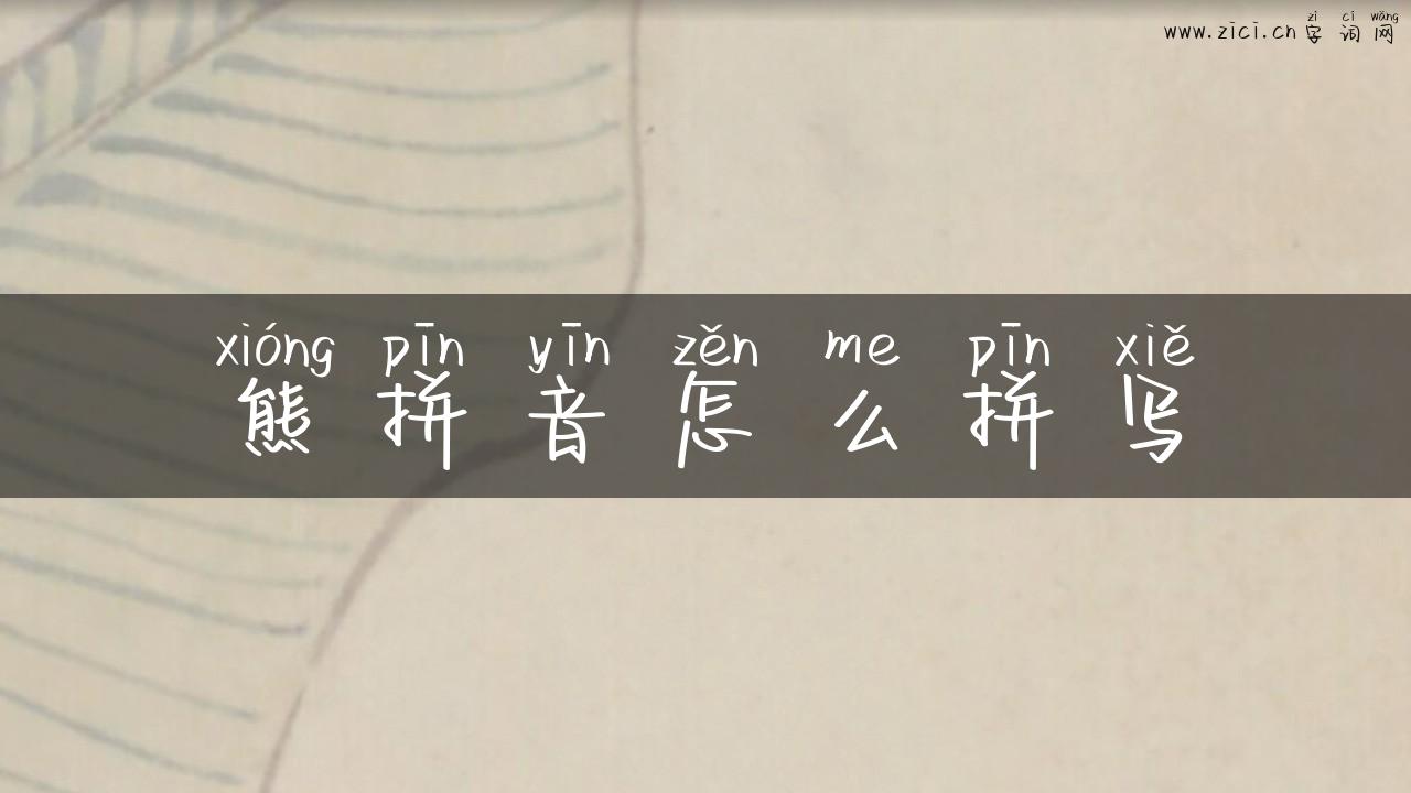 熊拼音怎么拼写