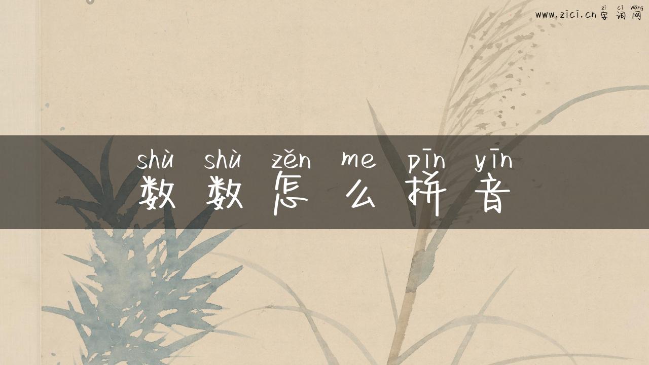 数数怎么拼音
