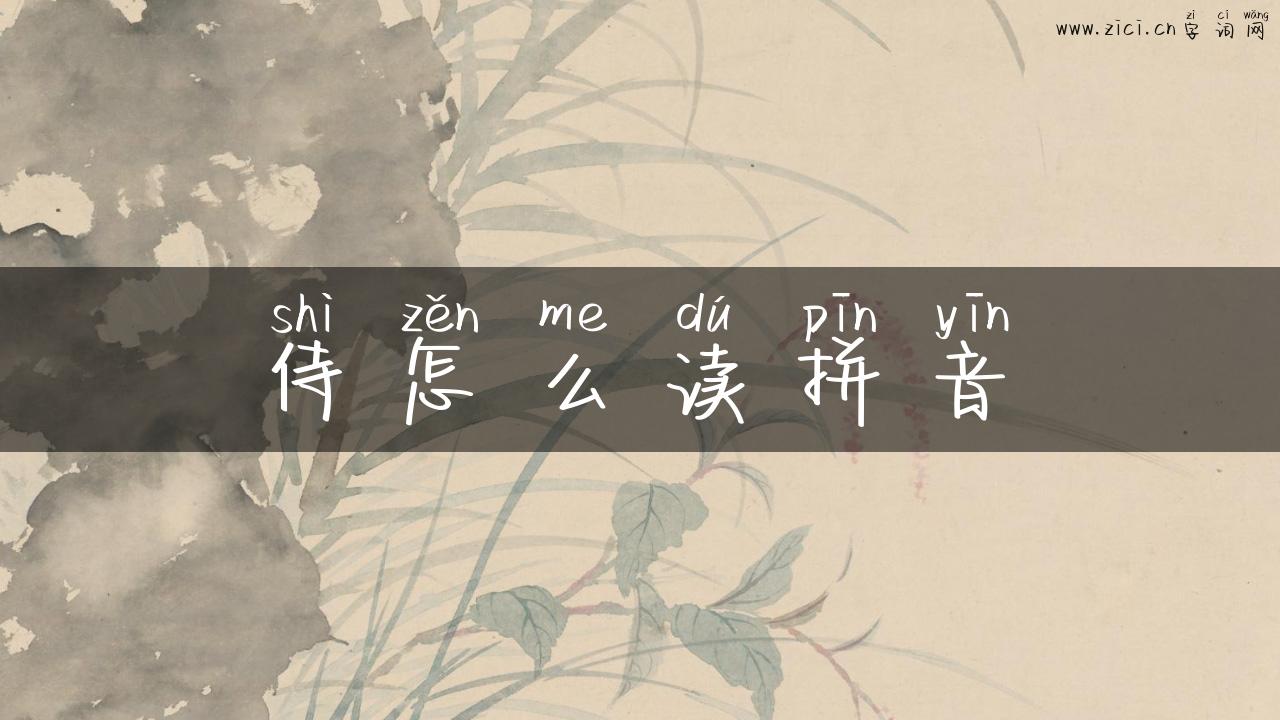 侍怎么读拼音