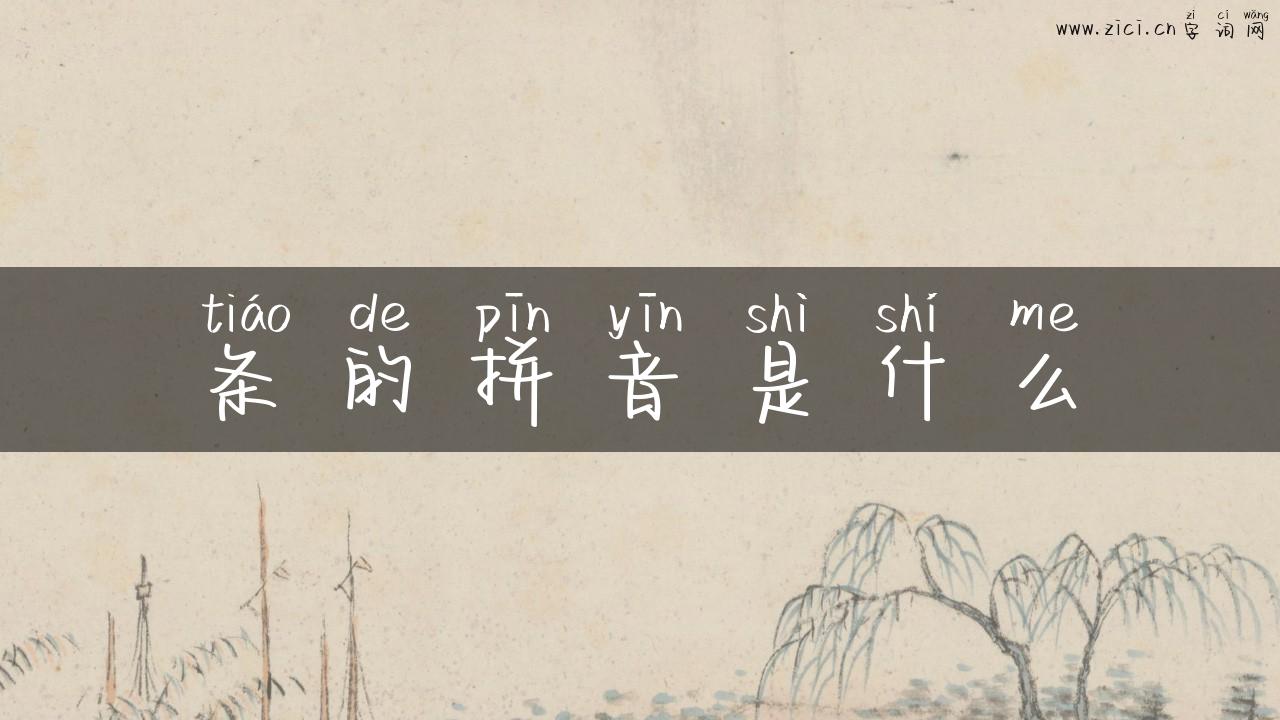 条的拼音是什么