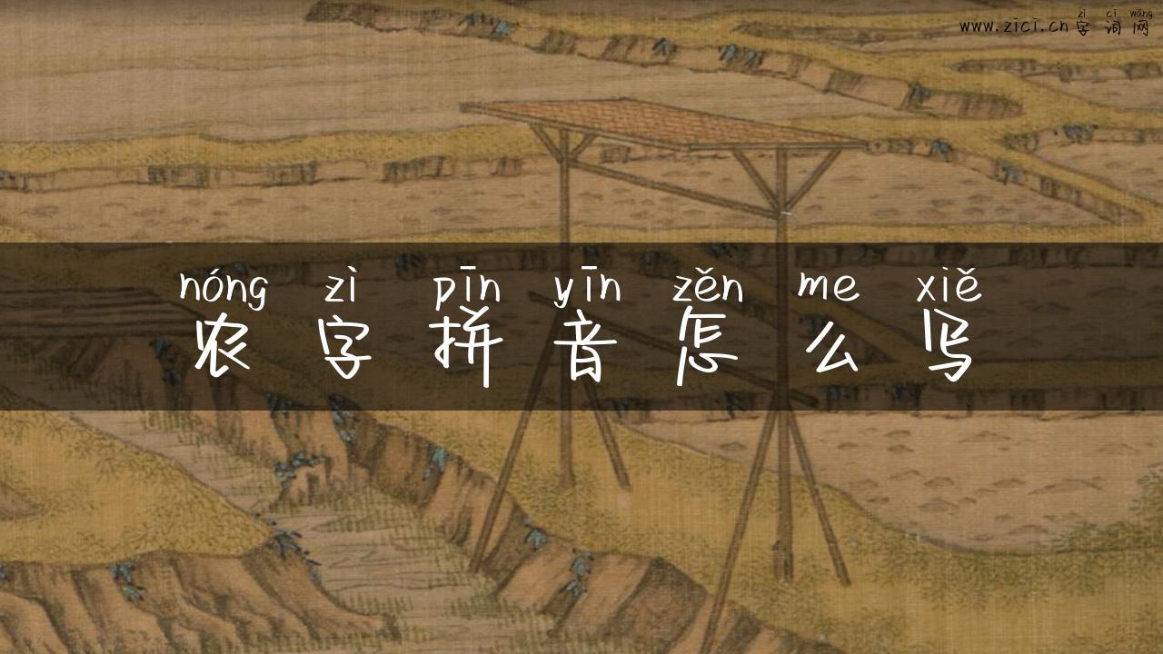 农字拼音怎么写