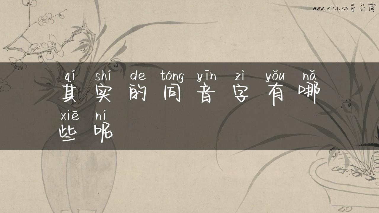 其实的同音字有哪些呢