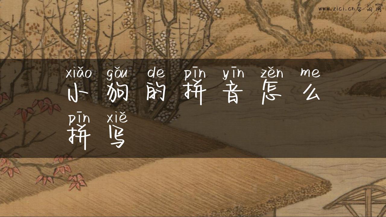 小狗的拼音怎么拼写