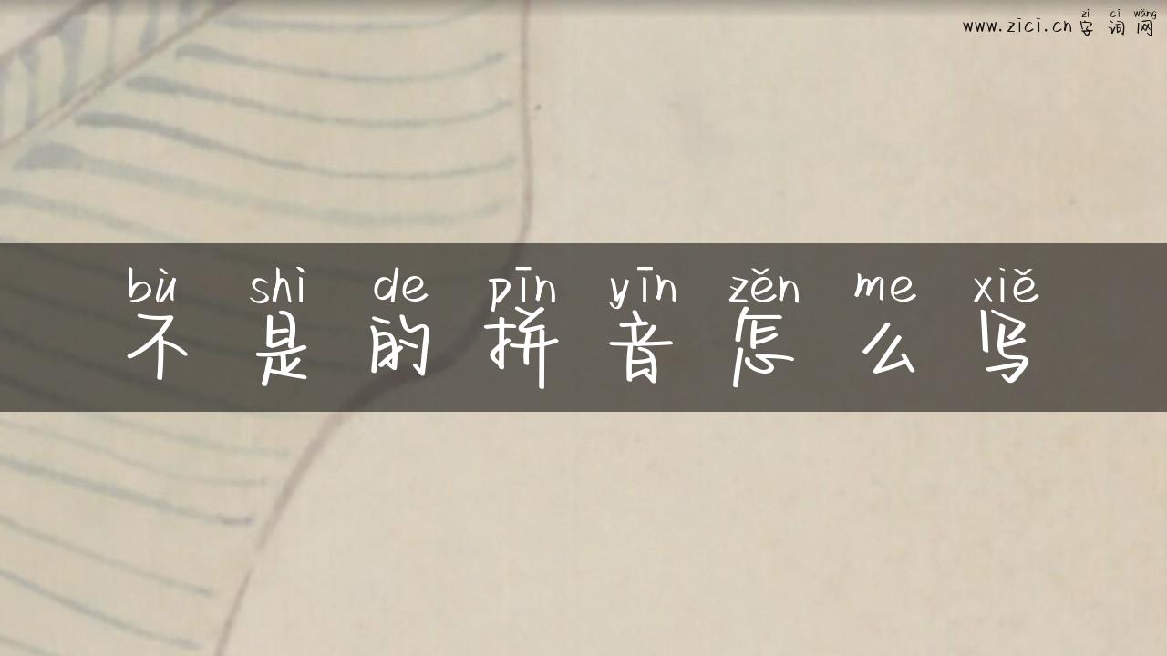 不是的拼音怎么写