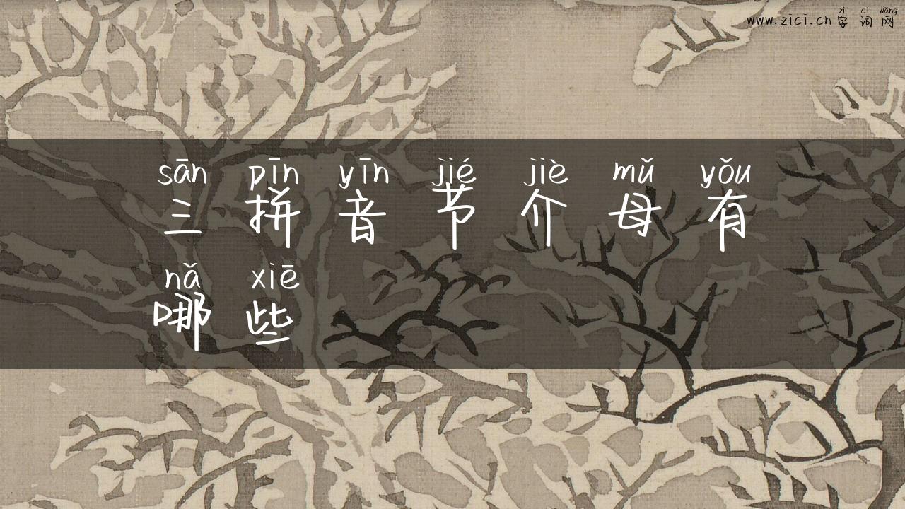 三拼音节介母有哪些