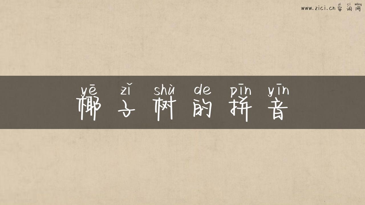 椰子树的拼音