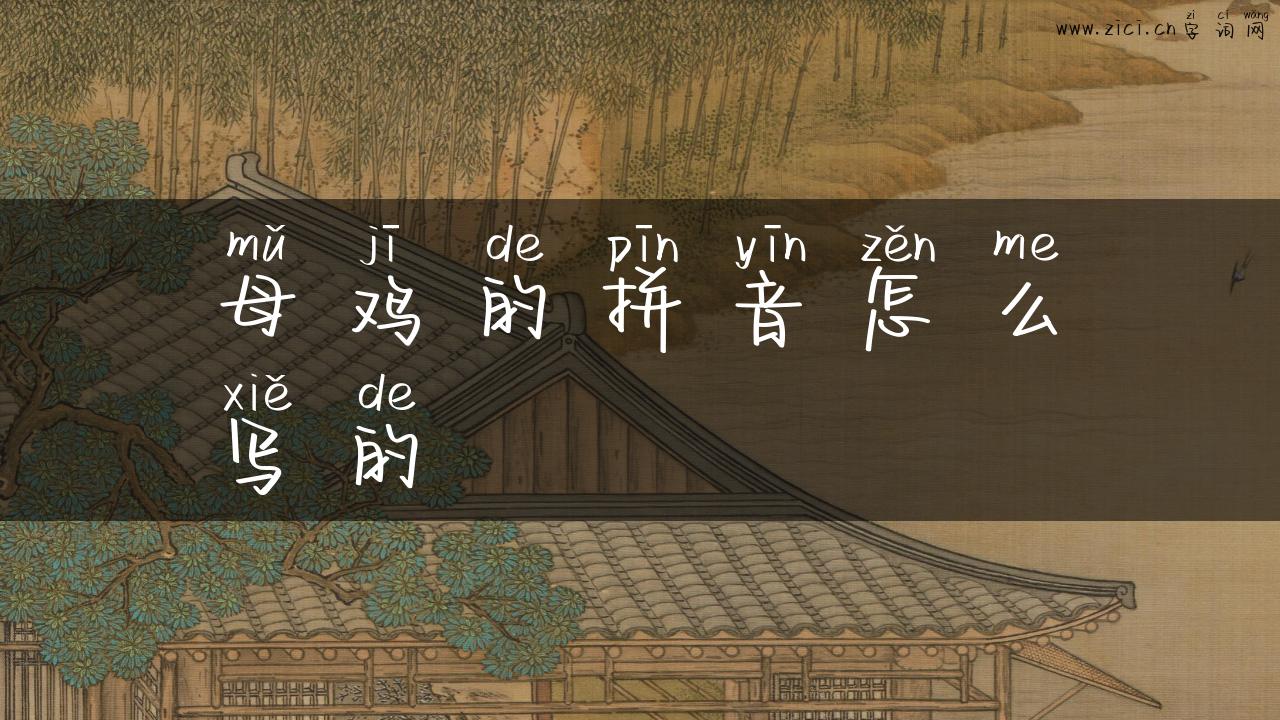 母鸡的拼音怎么写的