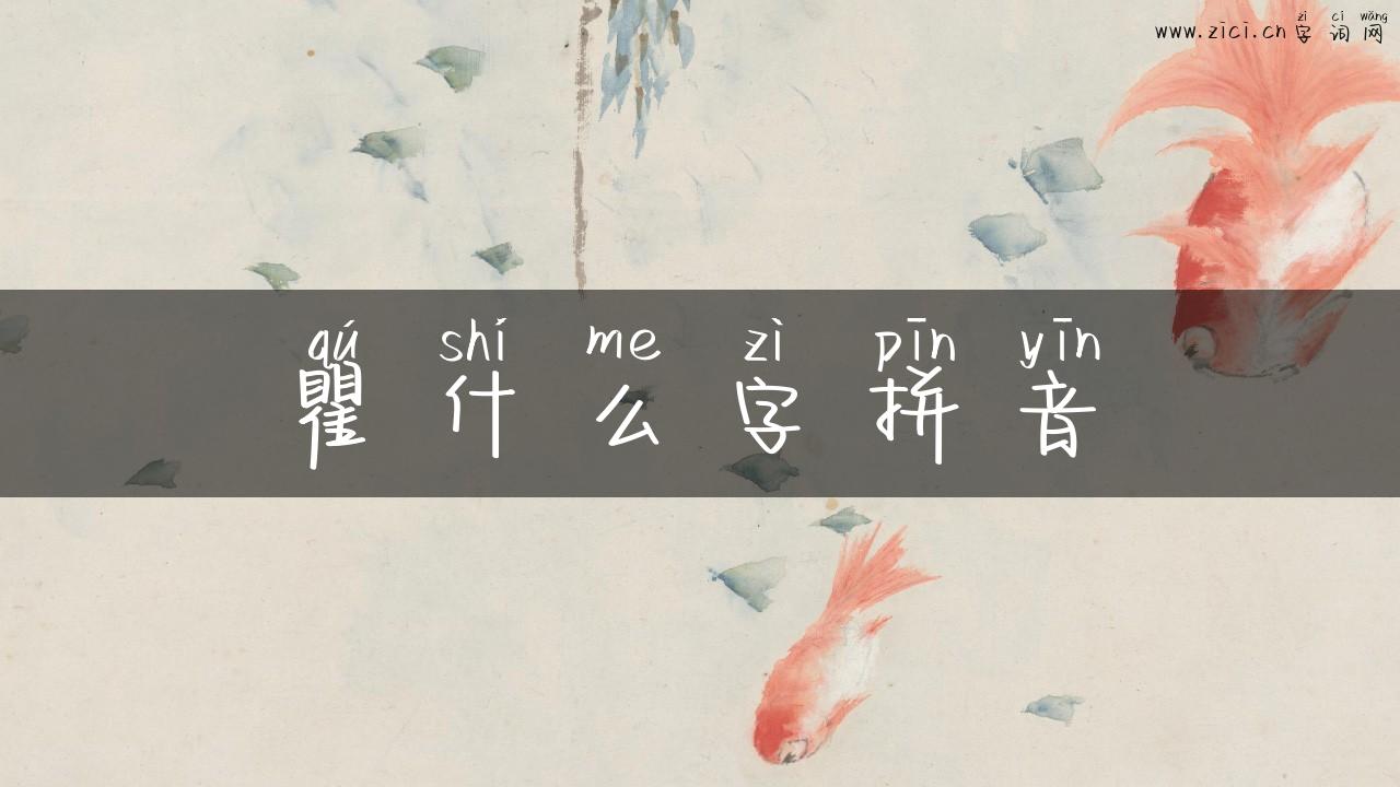 瞿什么字拼音