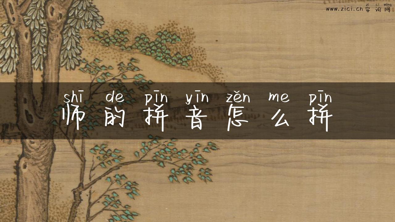 师的拼音怎么拼