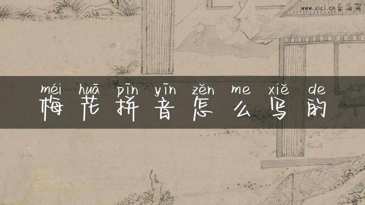 梅花拼音怎么写的