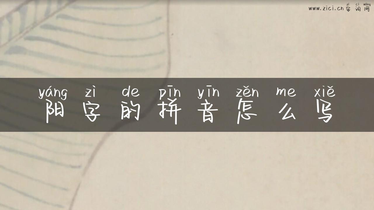 阳字的拼音怎么写