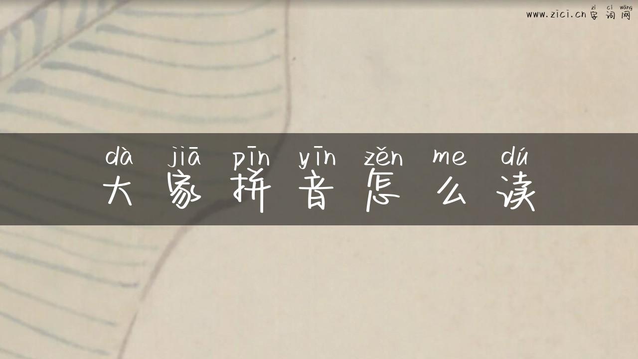 大家拼音怎么读