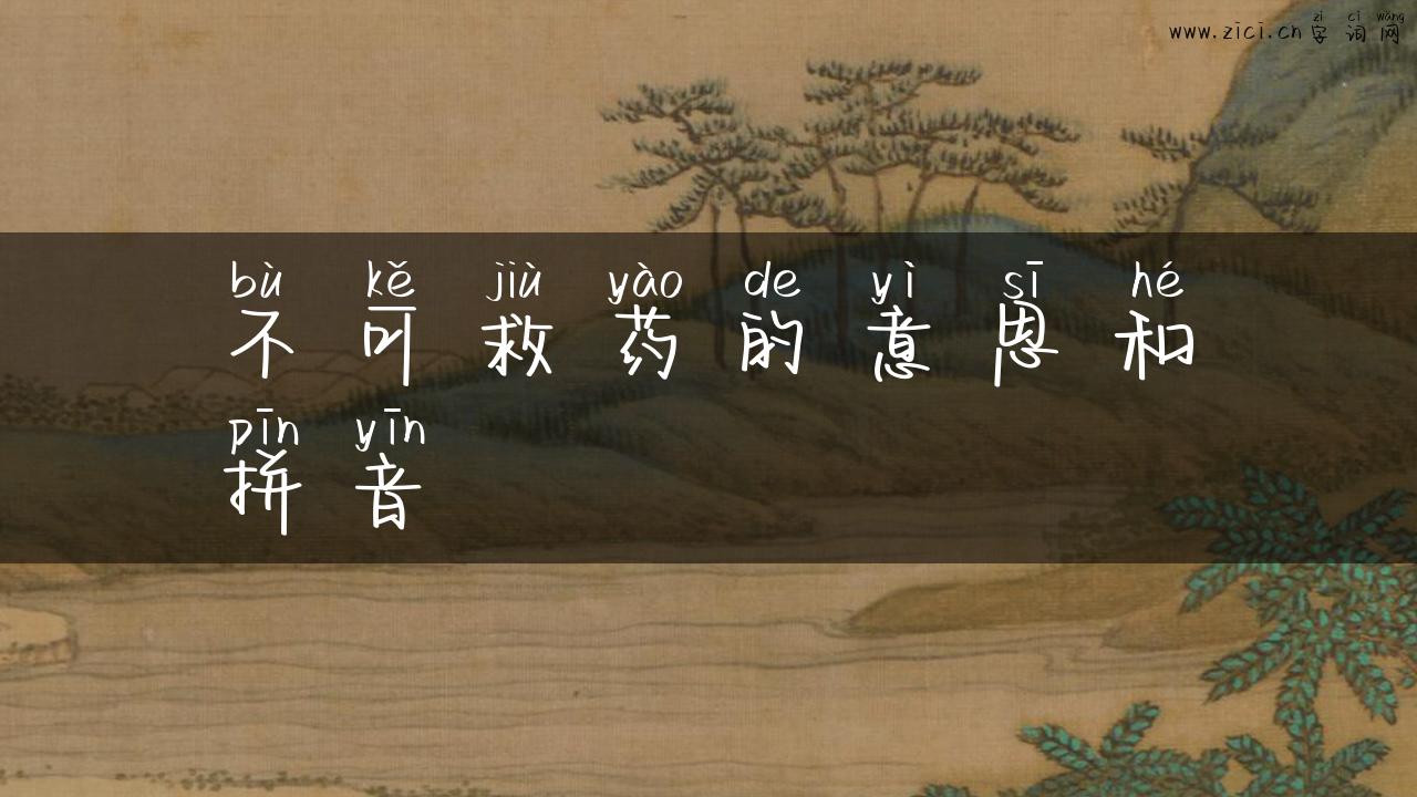 不可救药的意思和拼音