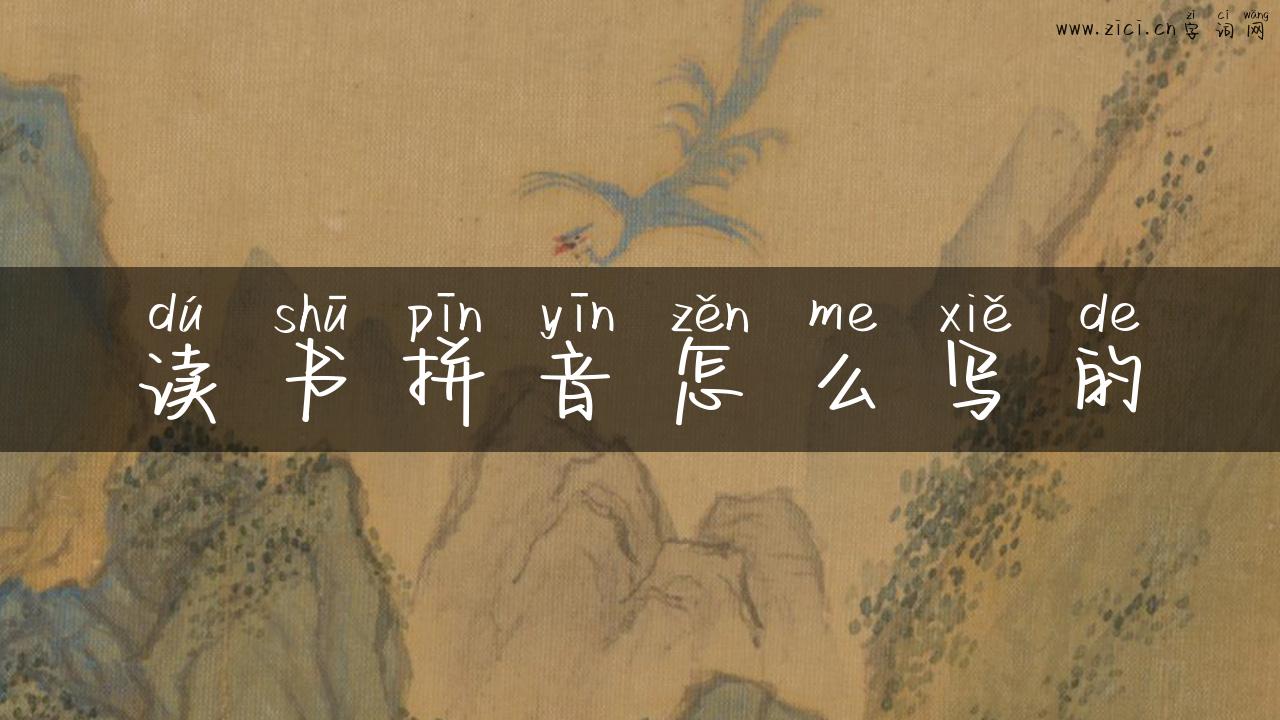 读书拼音怎么写的