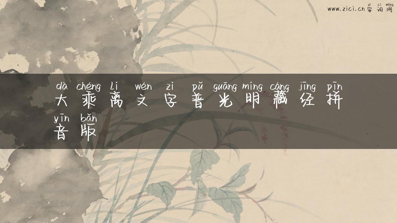 大乘离文字普光明藏经拼音版