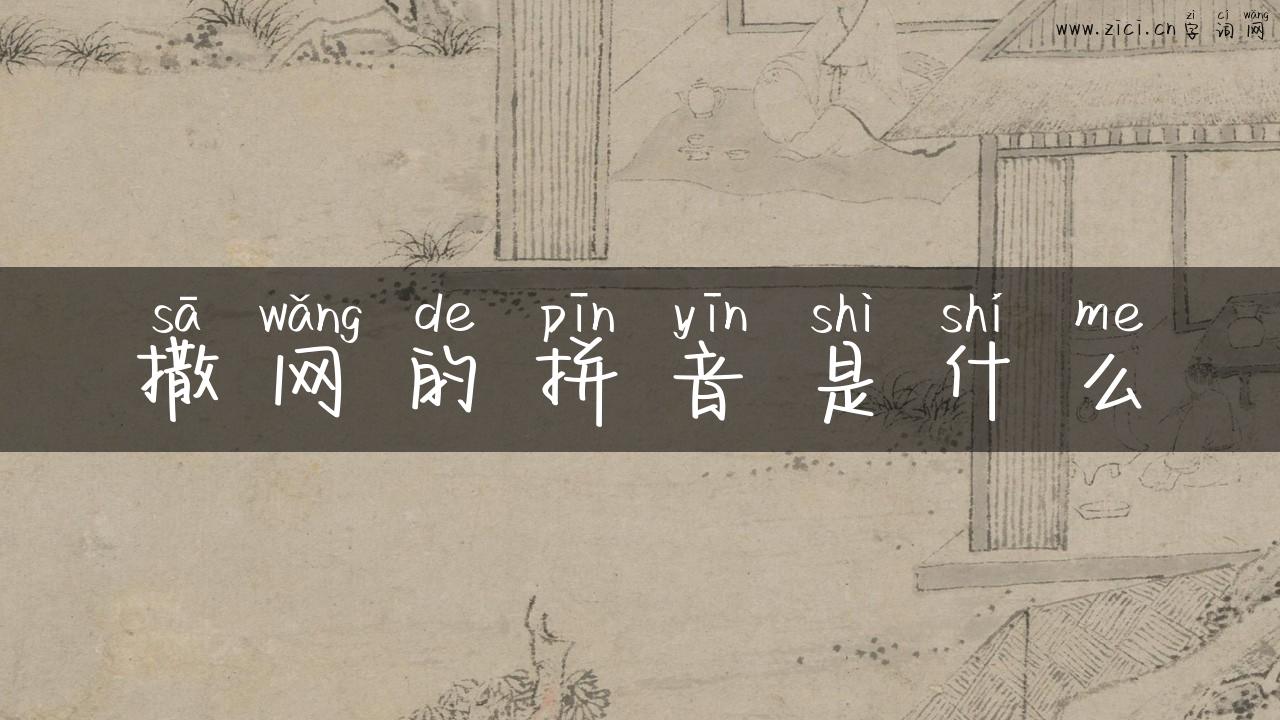 撒网的拼音是什么