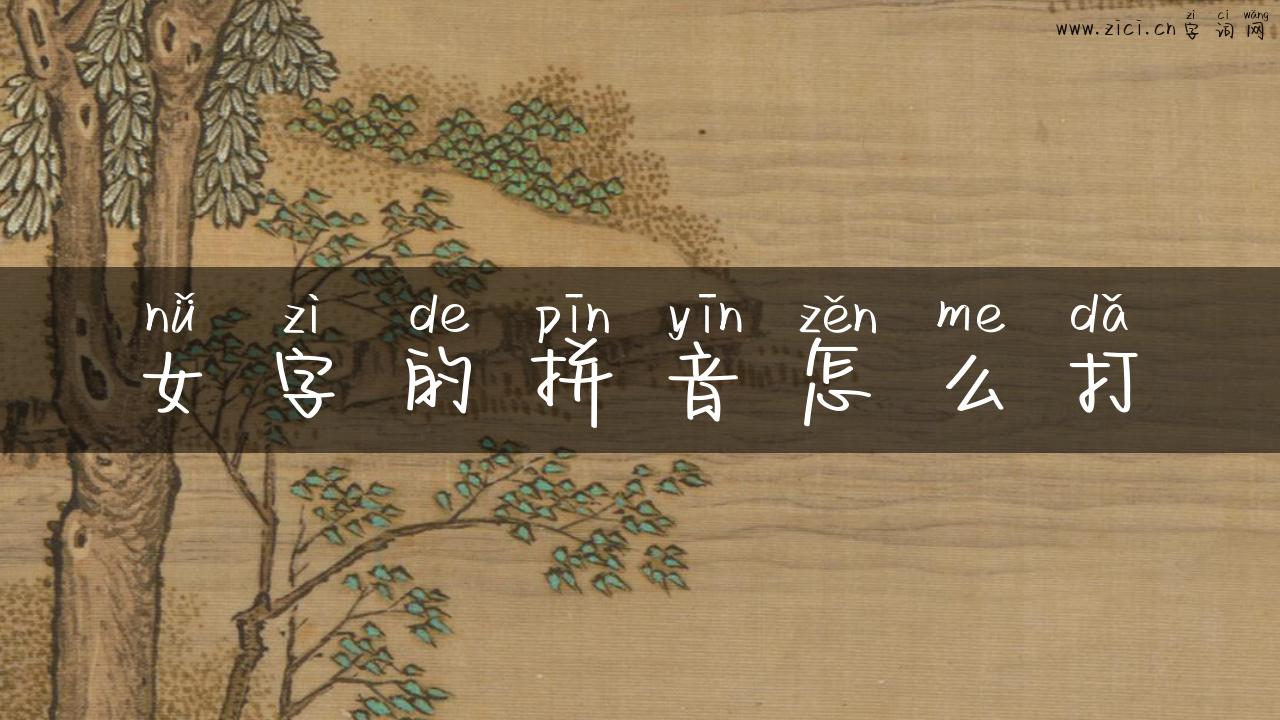 女字的拼音怎么打