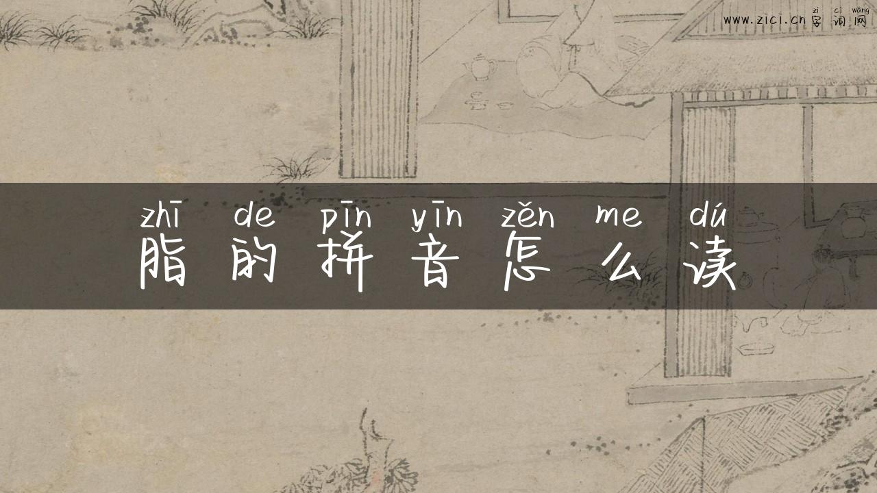 脂的拼音怎么读