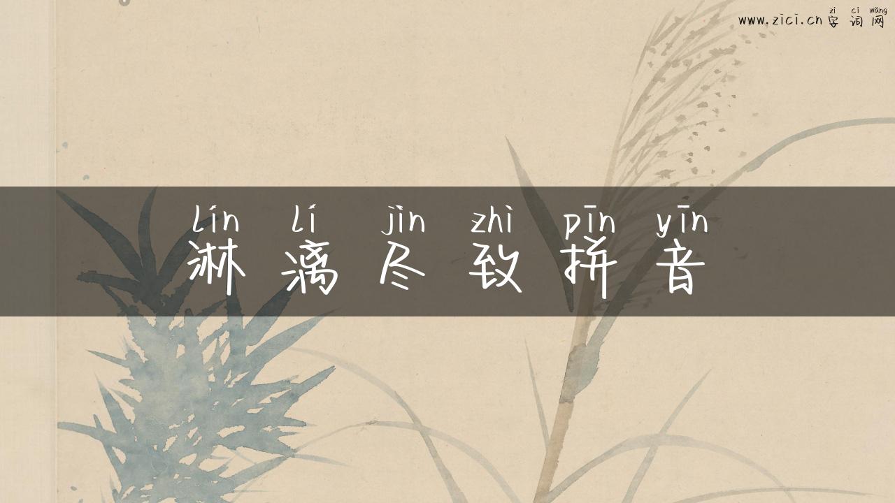 淋漓尽致拼音