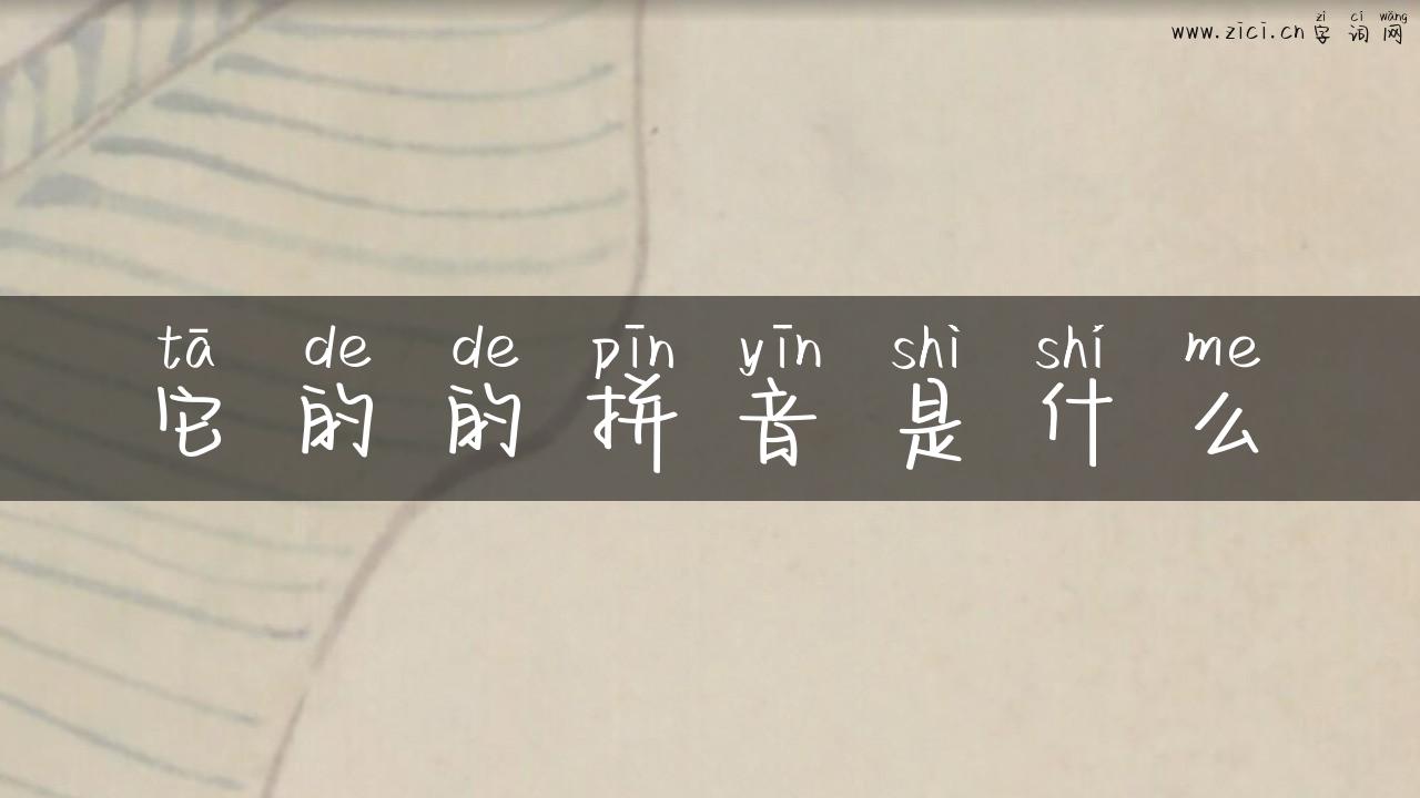 它的的拼音是什么